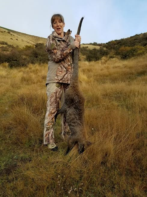 Wallaby